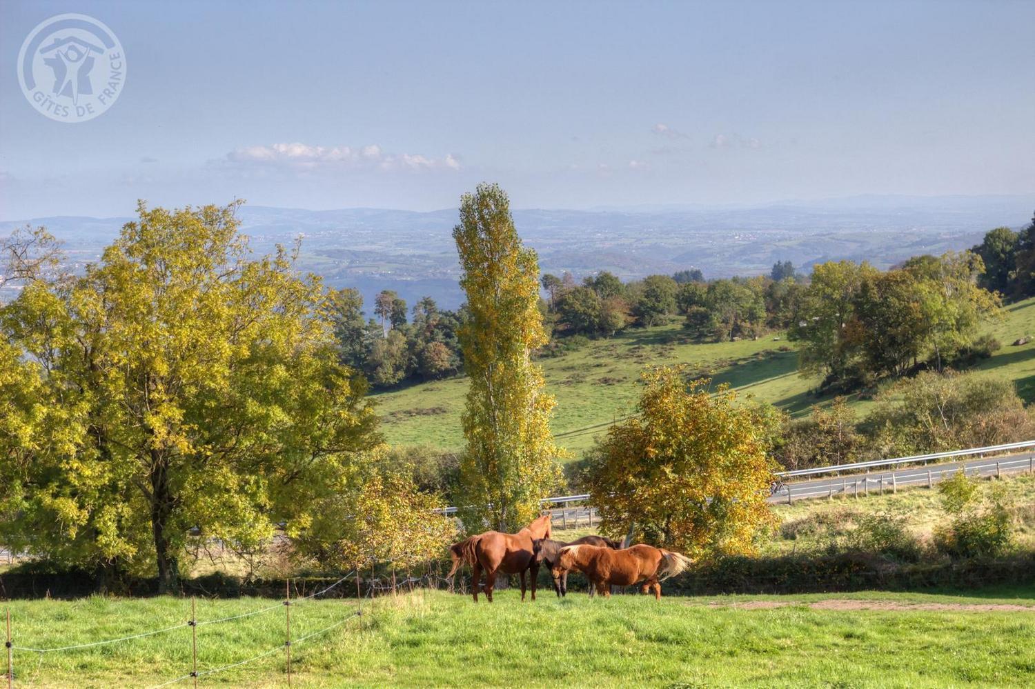 La Ferme Des Galoches Bed and Breakfast Villemontais Buitenkant foto
